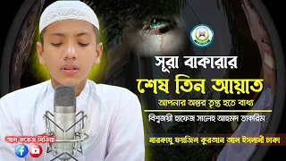 💖 আপনার অন্তর তৃপ্ত হতে বাধ্য┇সূরা বাকারার শেষ তিন আয়াত, বিশ্ব চ্যাম্পিয়ন হাফেজ সালেহ আহমাদ তাকরিম