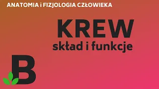 skład i funkcje KRWI - układ KRĄŻENIA anatomia i fizjologia człowieka - KOREPETYCJE z BIOLOGII - 246