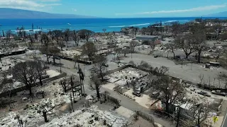 Hawaii wildfires: Aerial images of Lahaina, burnt to ashes | AFP