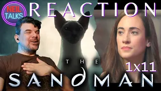 But Wait!  There's More! - *THE SANDMAN* BONUS 1x11 Reaction - "Dream of 1000 Cats / Calliope"