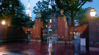 4K Rainy Evening Walk at Harvard University - Cambridge - Binaural ASMR