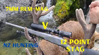 12 POINT MOUNTAIN STAG vs 7mm REM-MAG | NZ ALPINE HUNTING |100KPH WINDS | SWEAT | SMILES | SUCCESS