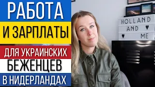 Работа и зарплата для украинских беженцев в Нидерландах. На что можно рассчитывать?