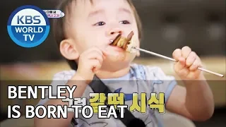 Bentley is born to eat [The Return of Superman/2019.09.15]