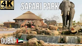 Dubai 🇦🇪 safari Park Adventure 4K Must Visit Place 2024