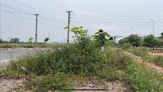 I volunteer to clean up the overgrown grass and everyone was indifferent -everybody happy