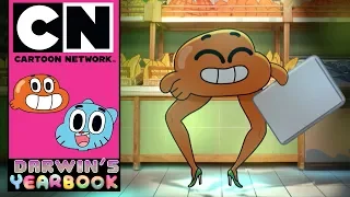 The Amazing World of Gumball: Darwin's Yearbook | Marriage And Potions | Cartoon Network UK 🇬🇧