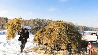 ТРАКТОР НЕ НУЖЕН ЕСТЬ ПРИОРА. ИЗ ГОРОДА В ДЕРЕВНЮ 241 серия