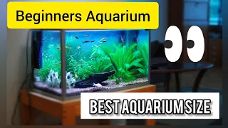 Best AQUARIUM SIZE for Beginners ! Freshwater Edition