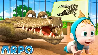 Animals set Free at the Zoo! | ARPO The Robot Classics