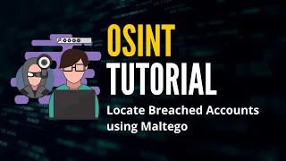 OSINT Tutorial: Locate Breached Accounts using Maltego