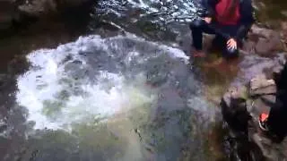 Sams jump into deepest part of waterfall LGG