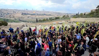 Processione delle Palme da Betfage a Gerusalemme