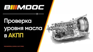 Как проверить уровень масла в автоматической коробке BMW?