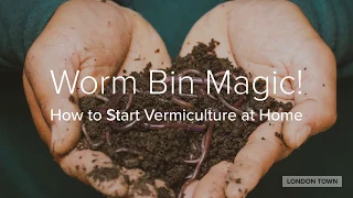 Worm Bin Magic - How to Start Vermiculture at Home