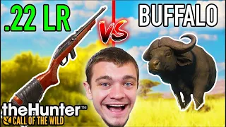 22LR vs GIANT Water Buffalo!