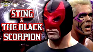 The Story of Sting & The Black Scorpion