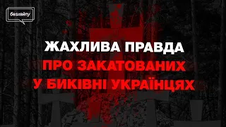 Володимир В’ятрович про жертв репресій у Биківні