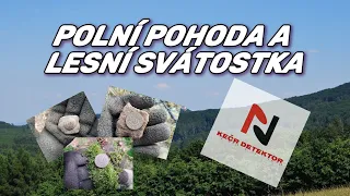 Detektor kovů - Polní pohoda a lesní svátostka