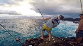 Ulua Fishing Big Island / Father’s Day