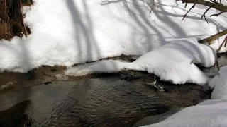 Народні прикмети, прогноз погоди на 24  лютого 2017 року