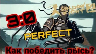 Как победить рысь в Shadow Fight 2?