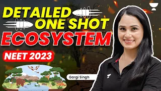 Detailed One Shot | Ecosystem | NEET 2023 | Gargi Singh