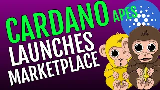 CARDANO APES LAUNCHES THEIR MARKETPLACE BETTER THAN CNFT??