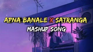 Apna Bana Le x SatrangaMashup 2024 | Lofi web2.0 |Arijit SinghDismissed