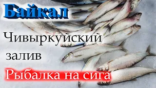 Байкал. Чивыркуйский залив. Рыбалка на сига. 2020-03-20.
