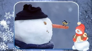 Children's song - Snowman (remix)