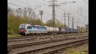 Bahnverkehr in Köln Gremberg 30-03-2024 Teil 1 (SBB Cargo, RBP 193, Dispo Tf Rail, Uvm.)