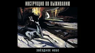 Инструкция по Выживанию ‎– Звёздное Небо (1998) | Bull Terrier Records ‎– BTR 053; RU; 2020