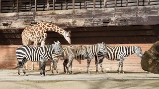 ZOO Liberec - 29.3.2024