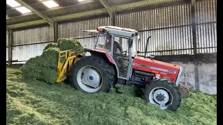 Cumbrian Silage 2023. All red drag chopper team with the Massey 399 buckraking at the pit!