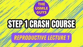 Reproductive Lecture 1 | USMLE Guys Step 1 Crash Course