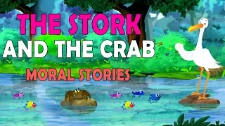 Stork and  Crab Story in English | Crane and The Crab | Kids Animated Stories I TVNXT KidZ