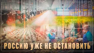 В СССР столько не строили! Всего за месяц в России открыто 13 предприятий пищевой промышленности