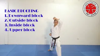 KARATEDO BASIC BLOCKING AND PUNCHING