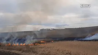 На Рівненщині знову палять траву: рятувальники нагадують про відповідальність