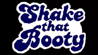 Shake That Booty Summer Vibez 2015 Moombahton Mix by Robbie Rhytmo [download in description]