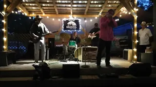 Little Mike and the Tornadoes - HD Live - Blueberries & Blues Festival - 2019