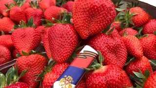 Клубника открытый грунт , без бугров 🍓🍓🍓🍓