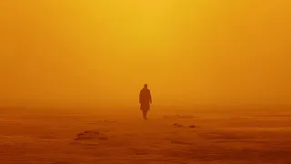 The Cinematography of Blade Runner: 2049 (Film Edit)