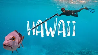 I flew to HAWAII to learn to SPEARFISH