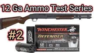 12ga Ammo Test Series: #2 Winchester Defender SLUG + 00 Buck (PDX1) | Pattern /Gel