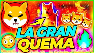 💥 TIENES QUE SABER ESTO ANTES DE LA QUEMA DE SHIBA INU 🚨 | Noticias SHIB | Invertir En Criptomonedas