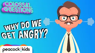Why Do We Get Angry? | COLOSSAL QUESTIONS
