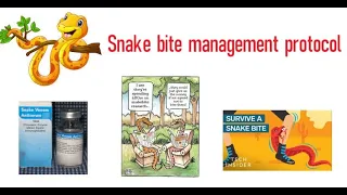 Snake bite - First aid , Management, National snake bite treatment protocol #intensive medical care