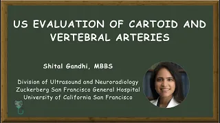 US Evaluation of Carotid and Vertebral Arteries